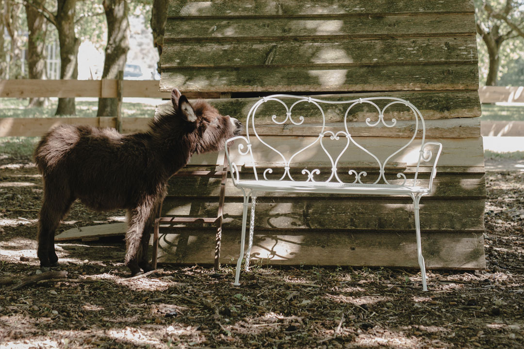 1900 bench in Cotton White