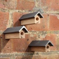 Beesnees - solitary bee nesting homes (bees not included, sorry)