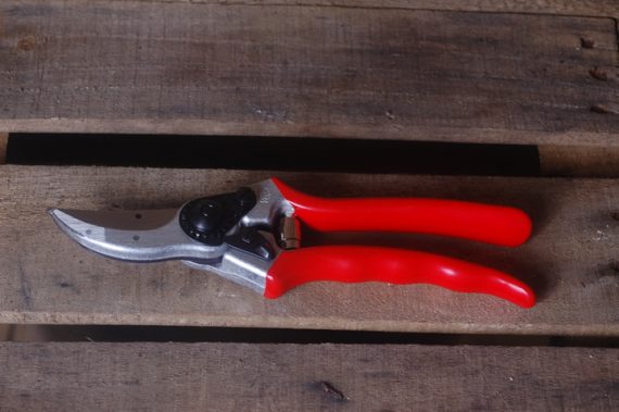 Felco No. 2 secateurs
