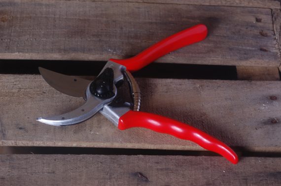 Felco No. 2 secateurs