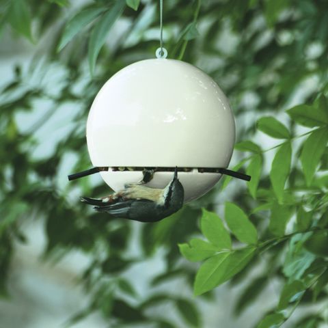 Peanut feeder in white (Blue Tit not included)