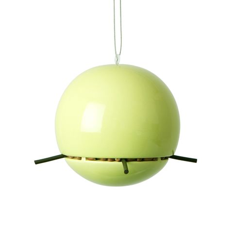 Peanut feeder in lime