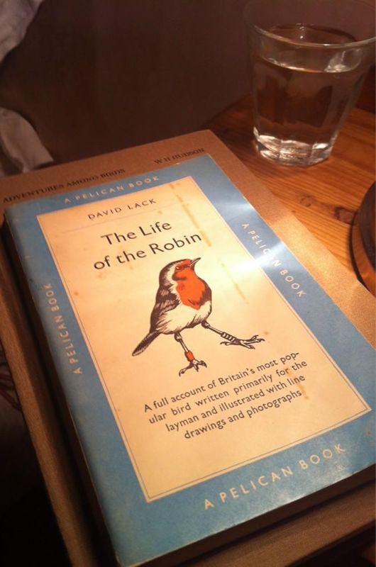 A book about Robin(s). "The Life of the Robin" by David Lack