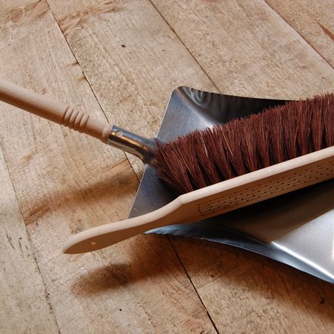 Steel dustpan & floor brush
