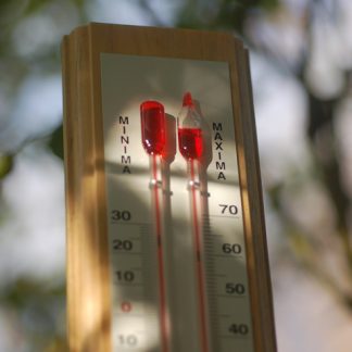 Maximum-minimum greenhouse thermometer