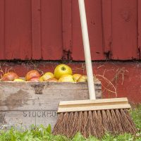 Garden broom