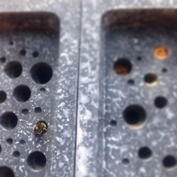 Bee blocks at the factory. As they're near the beach, these bees use sand to block the holes.