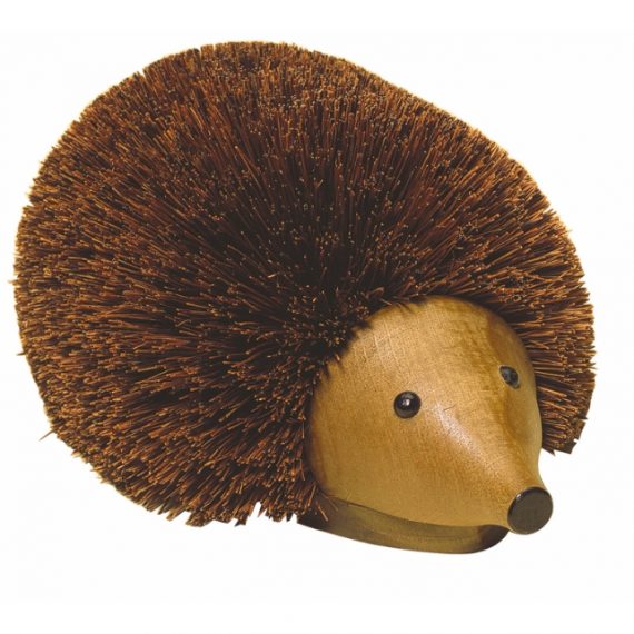 Hedgehog boot brush