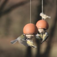 Belle bird feeder in terracotta