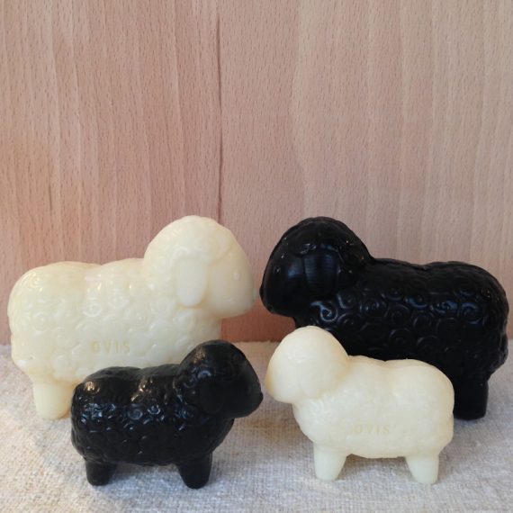 Sheep soap