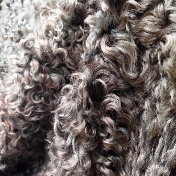 Gotland sheepskin