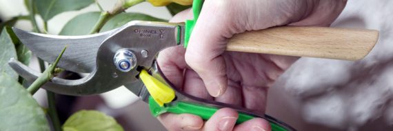 Opinel secateurs