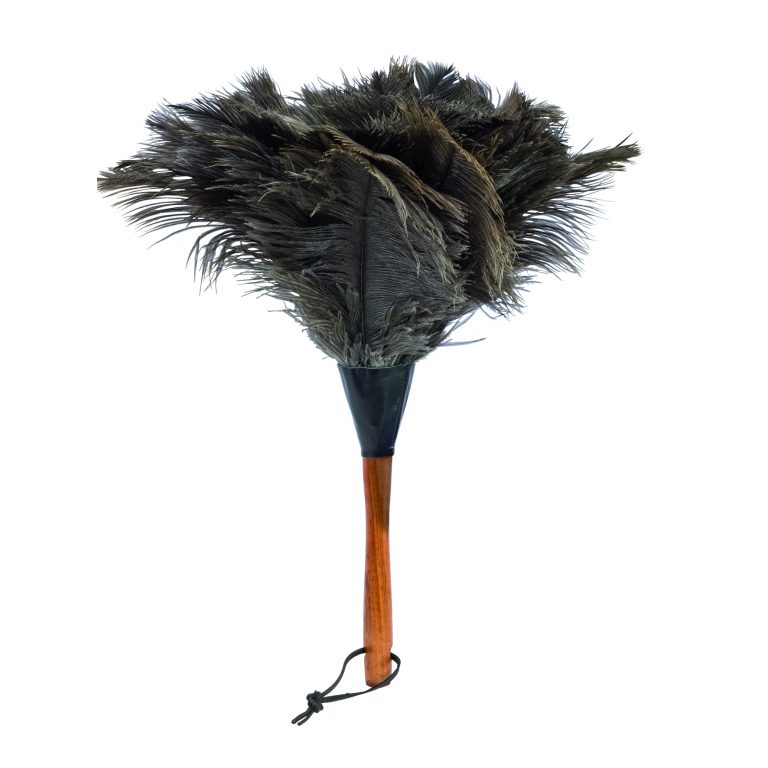 Small ostrich feather duster
