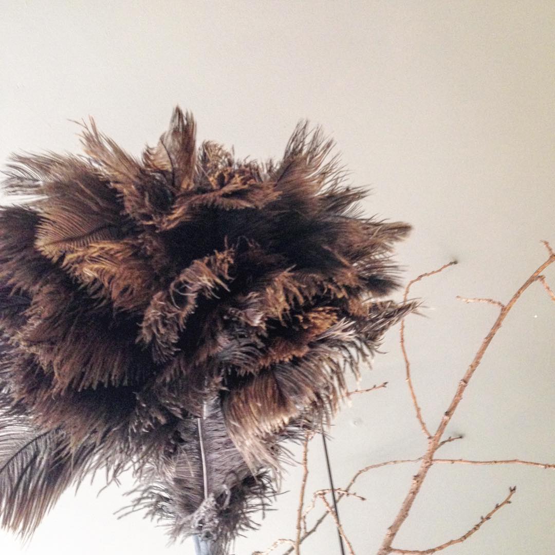 Ostrich feather duster Ostrich feather duster