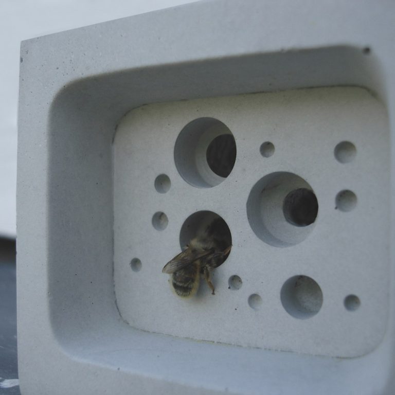Small Bee Block in Natural, Off White concrete