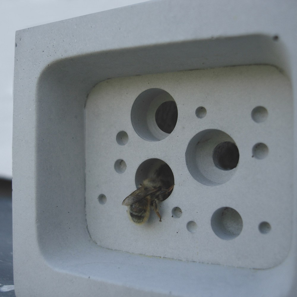 Small Bee Block in Natural, Off White concrete Small Bee Block in Natural, Off White concrete