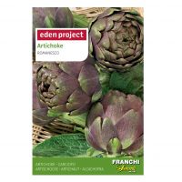 Artichoke 'Violet de Provence'