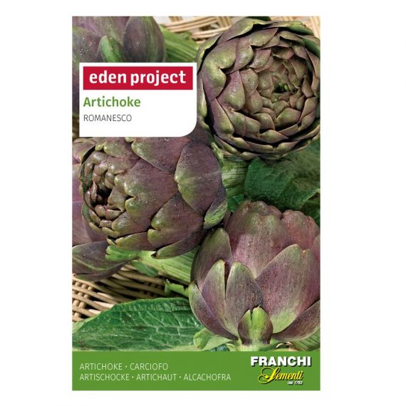 Artichoke 'Violet de Provence'