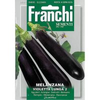 Aubergine Melanzana violetta lunga 2