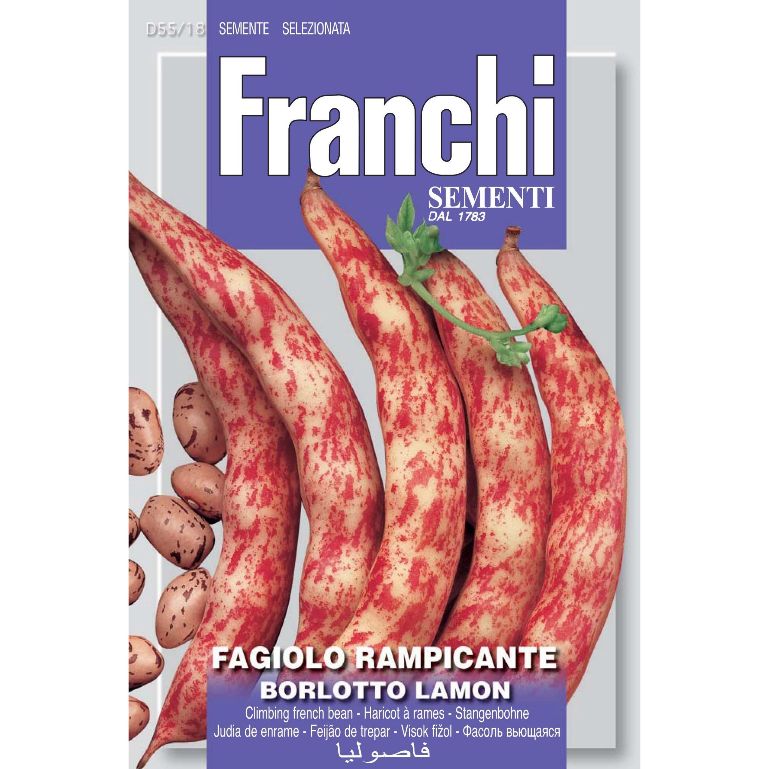 Borlotti bean 'Fagiolo lamon' Borlotti bean 'Fagiolo lamon'