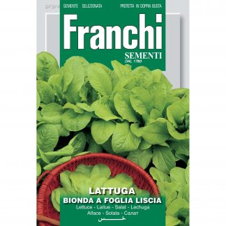 Lettuce Bionda a Foglia Liscia