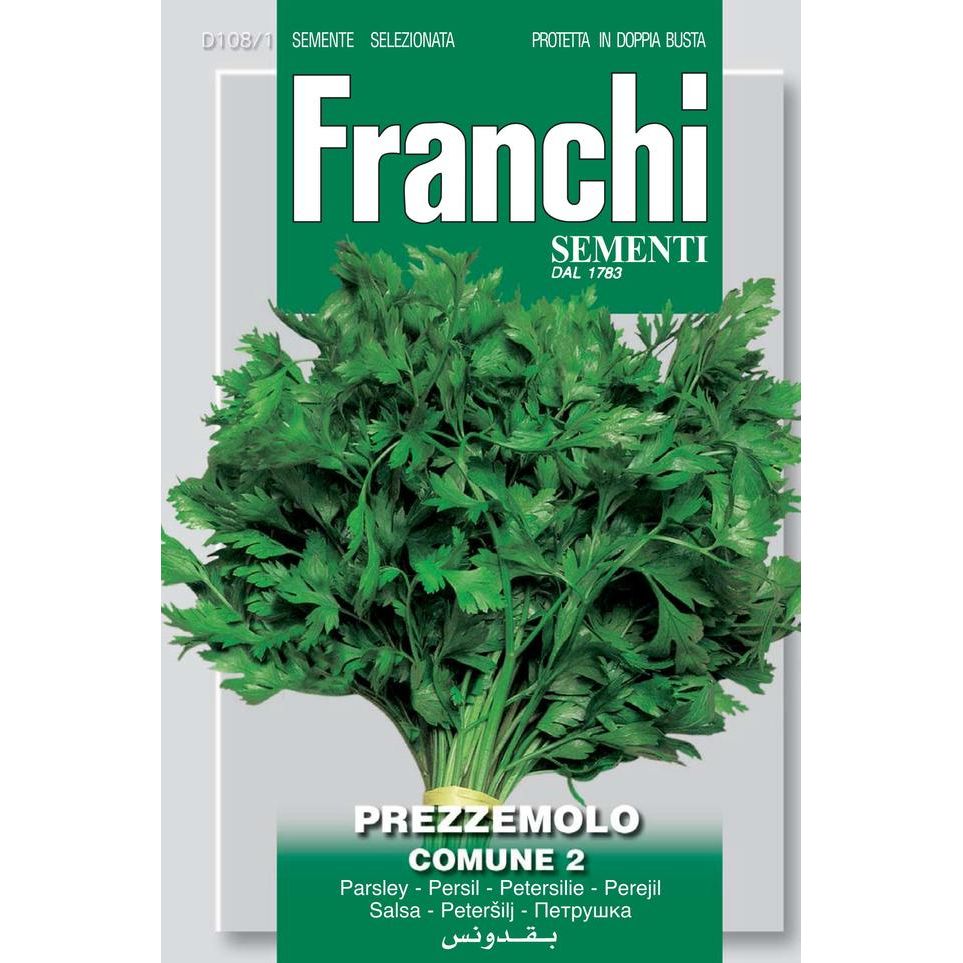 Flat leaf Parsley 'Comune 2'