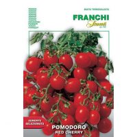 Red Cherry tomato