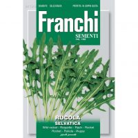 Wild Rocket