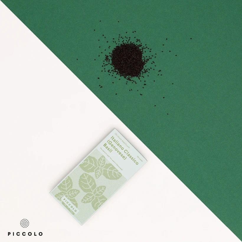 Basil Genovese Basil Genovese