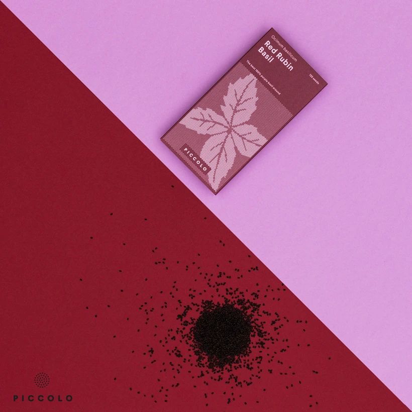 Basil 'Red Rubin' Basil 'Red Rubin'