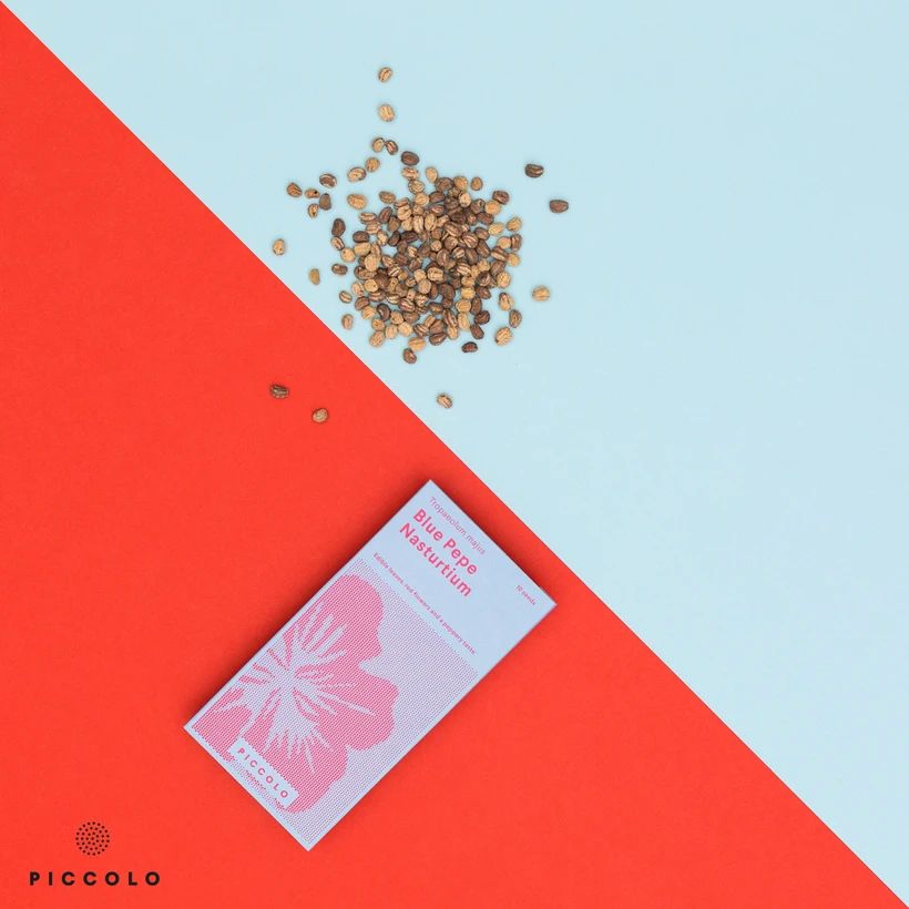 Nasturtium 'Blue Pepe'