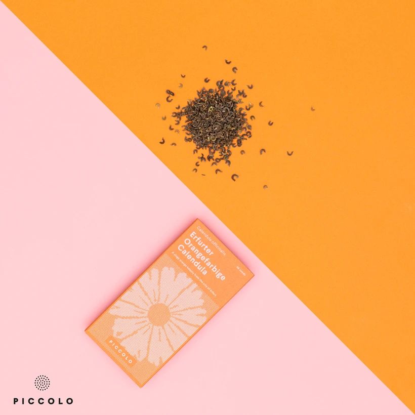 Calendula 'Erfurter Orangefarbige' Calendula 'Erfurter Orangefarbige'