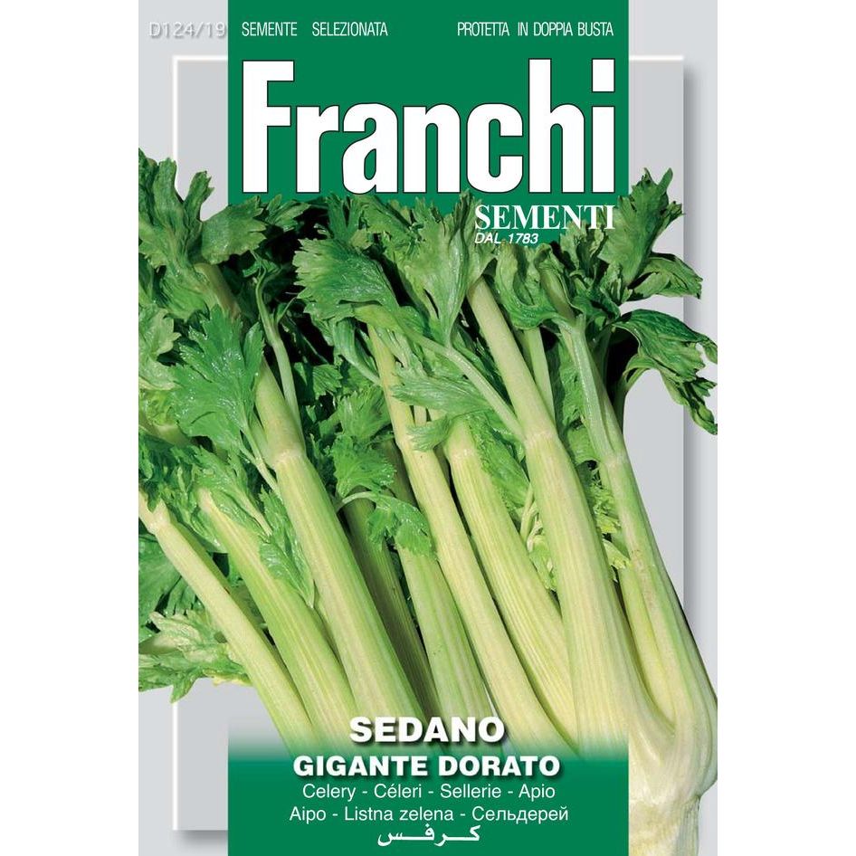 Celery 'Gigante Dorato' Celery 'Gigante Dorato'