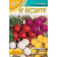 Mixed Radish
