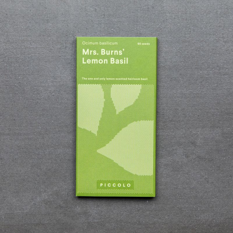 Lemon Basil 'Mrs. Burns'