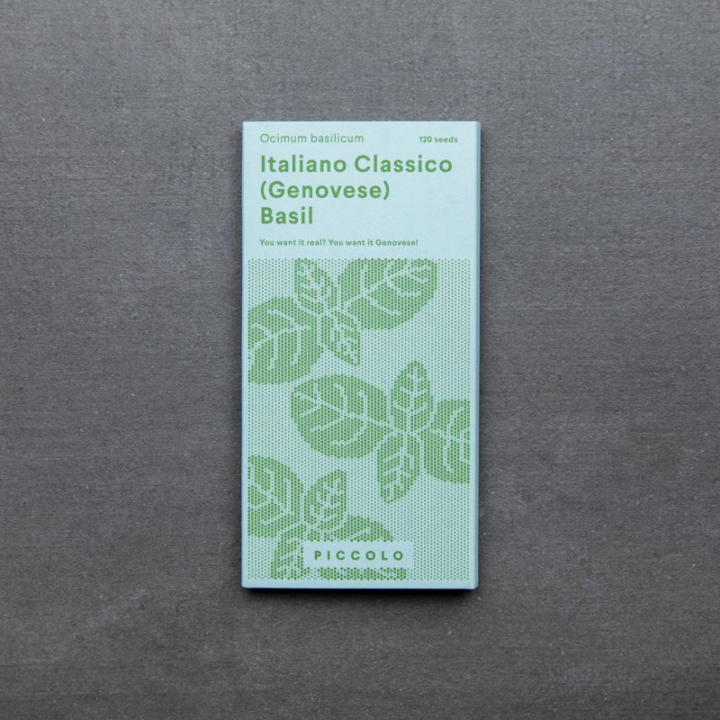 Basil 'Classico Italiano Genovese' Basil 'Classico Italiano Genovese'