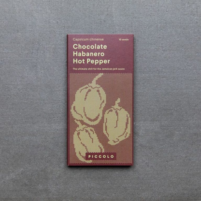 Hot Pepper 'Chocolate Habanero'