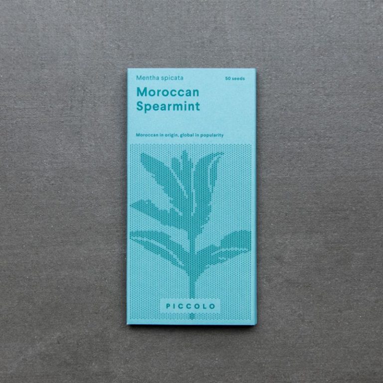 Moroccan Spearmint