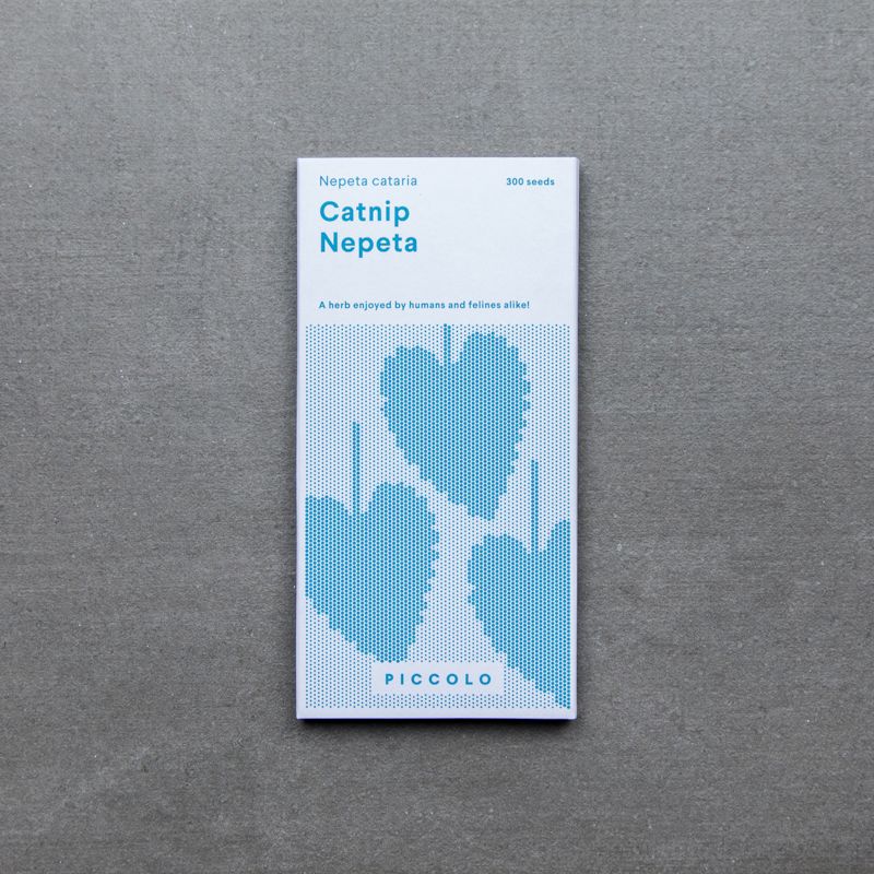 Catnip Nepeta Catnip Nepeta