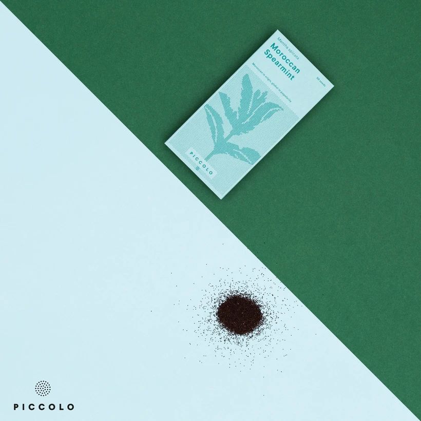 Moroccan Spearmint Moroccan Spearmint