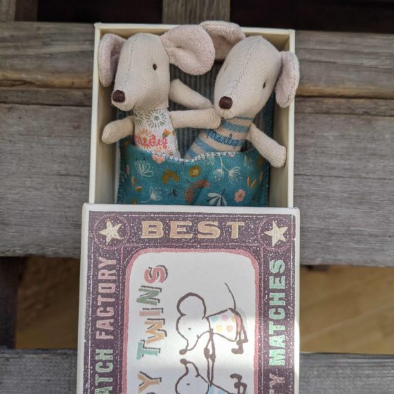 Baby twin mice