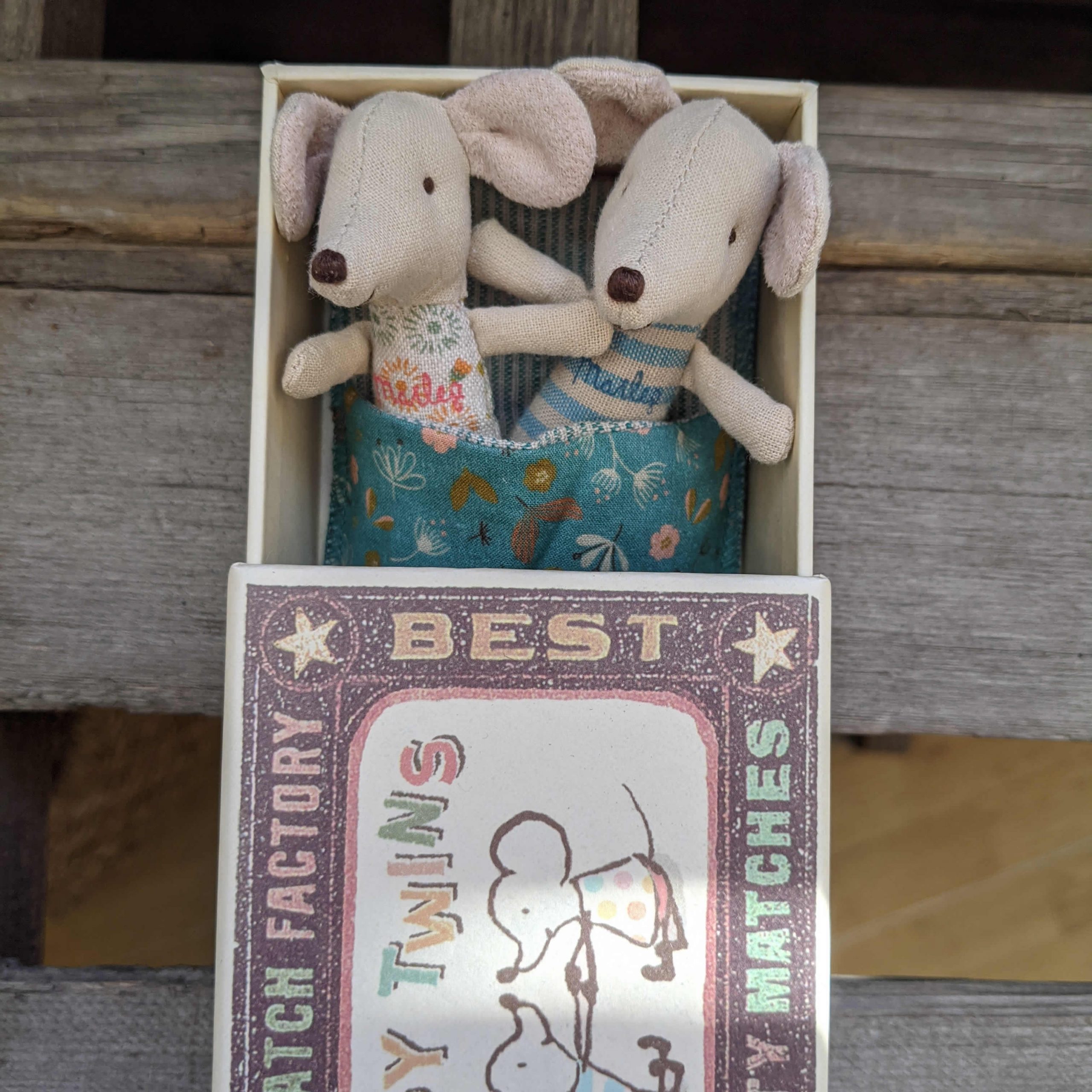 Baby twin mice Baby twin mice