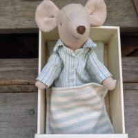 Big brother mouse in PJs