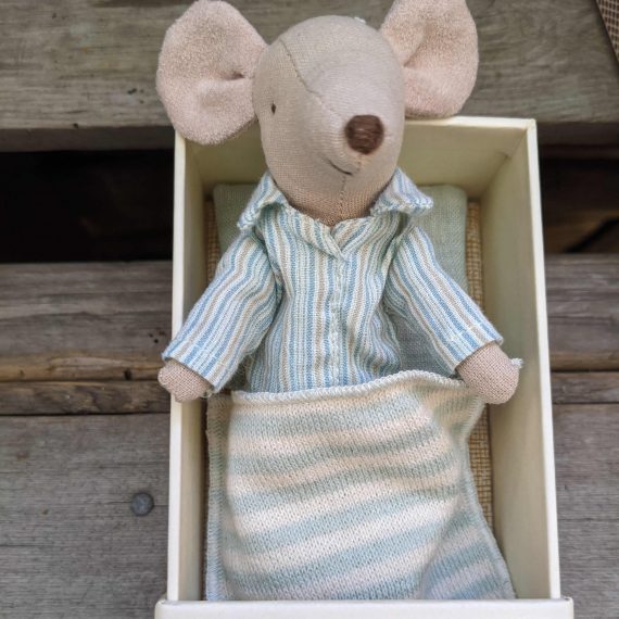 Big brother mouse in PJs