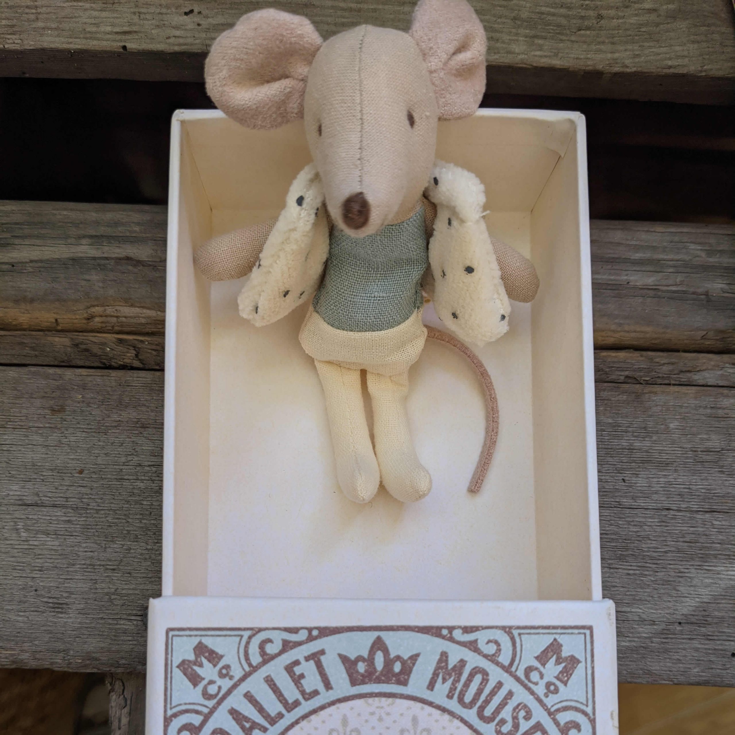 Dancer mouse in a matchbox