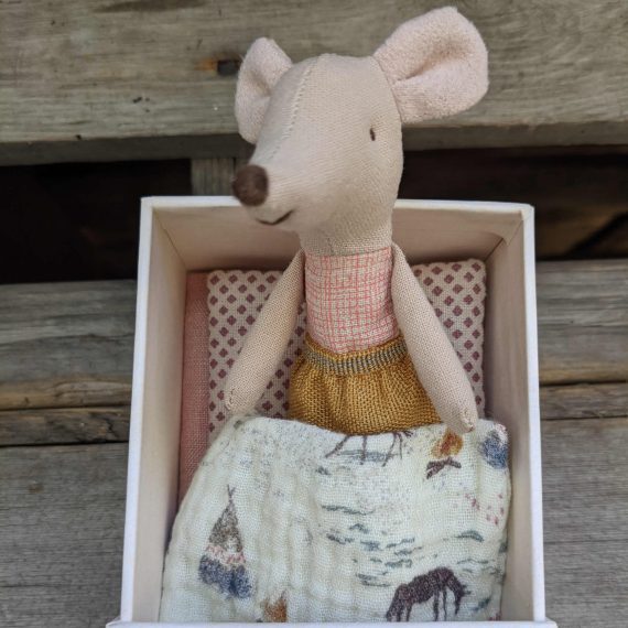 Little sister mouse