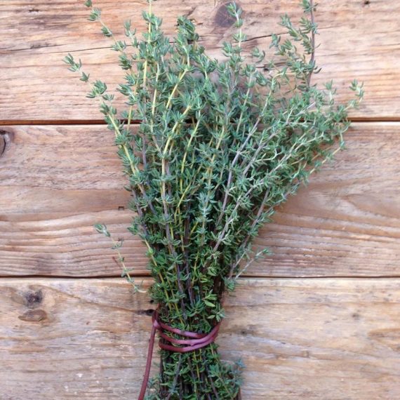 Thyme de Provence