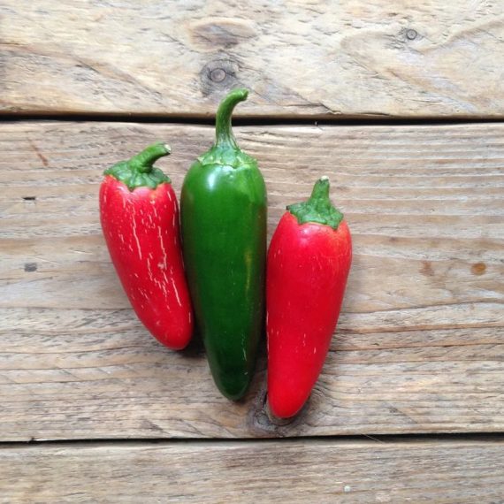 Hot Pepper 'Jalepeño M'