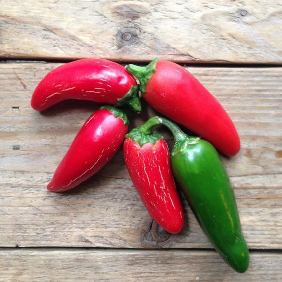 Hot Pepper 'Jalepeño M'