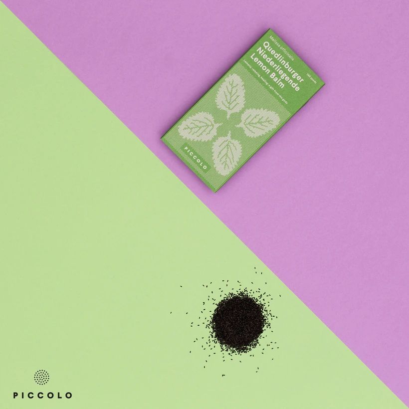 Lemon Balm Quedlinburger Niederliegende